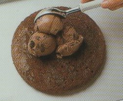 Baked Chocolate alaska — photo 2