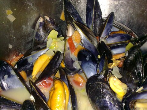 Hvitvinsdampet blåskjell