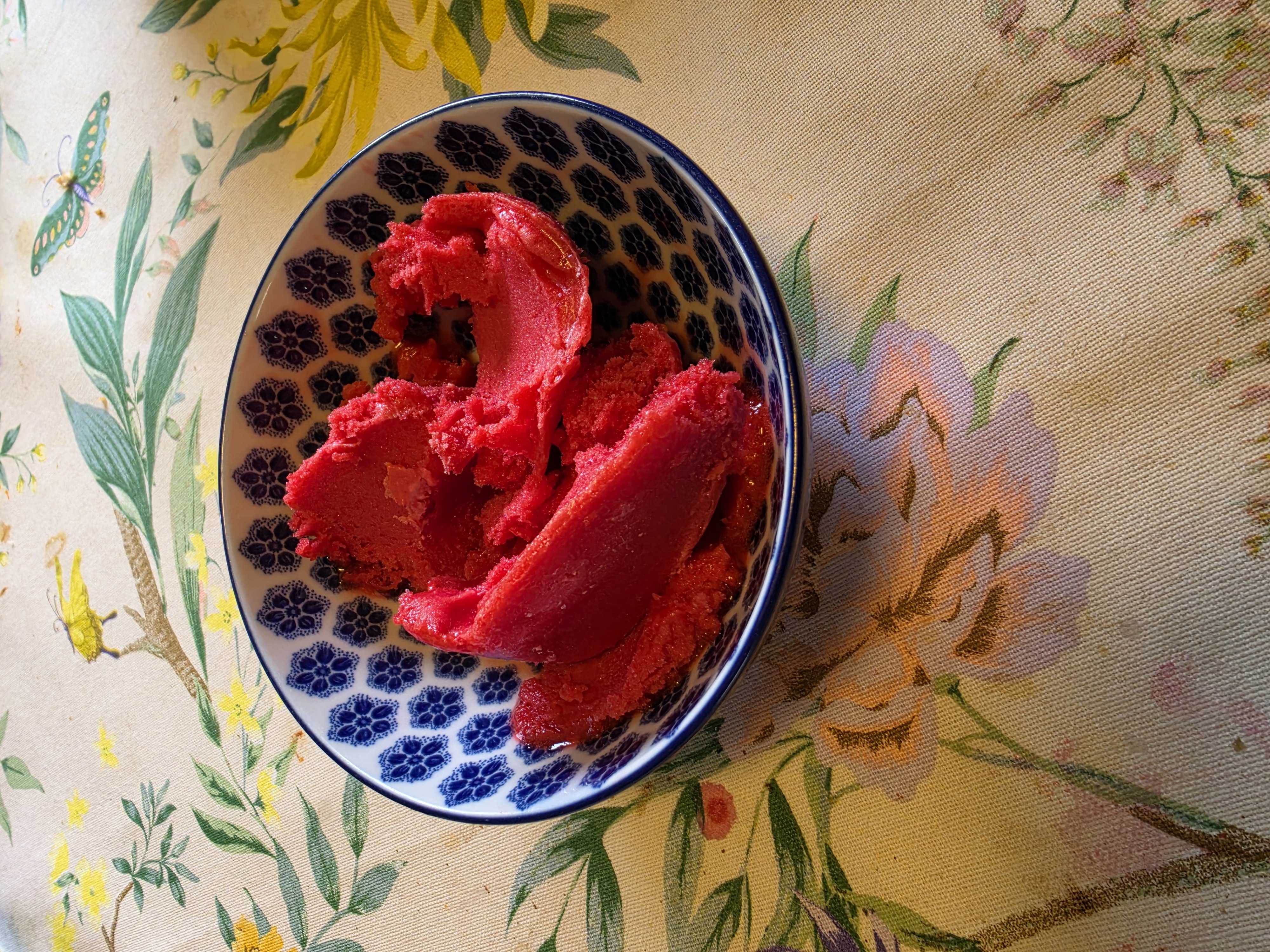 Raspberry Sorbet