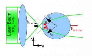 Axial trapping showing two highly focused rays striking a particle symmetrically about its centre. The particle is shown below the focus point.