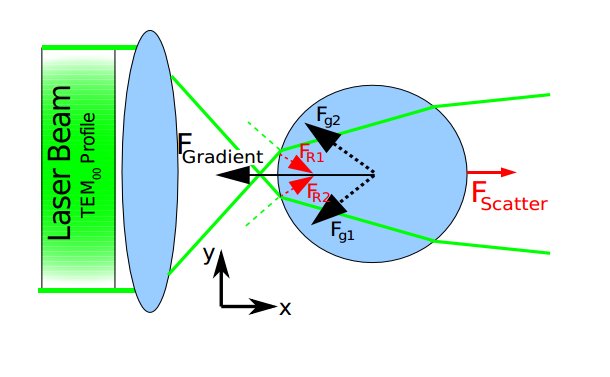 Characterisation And Calibration Of Optical Tweezers