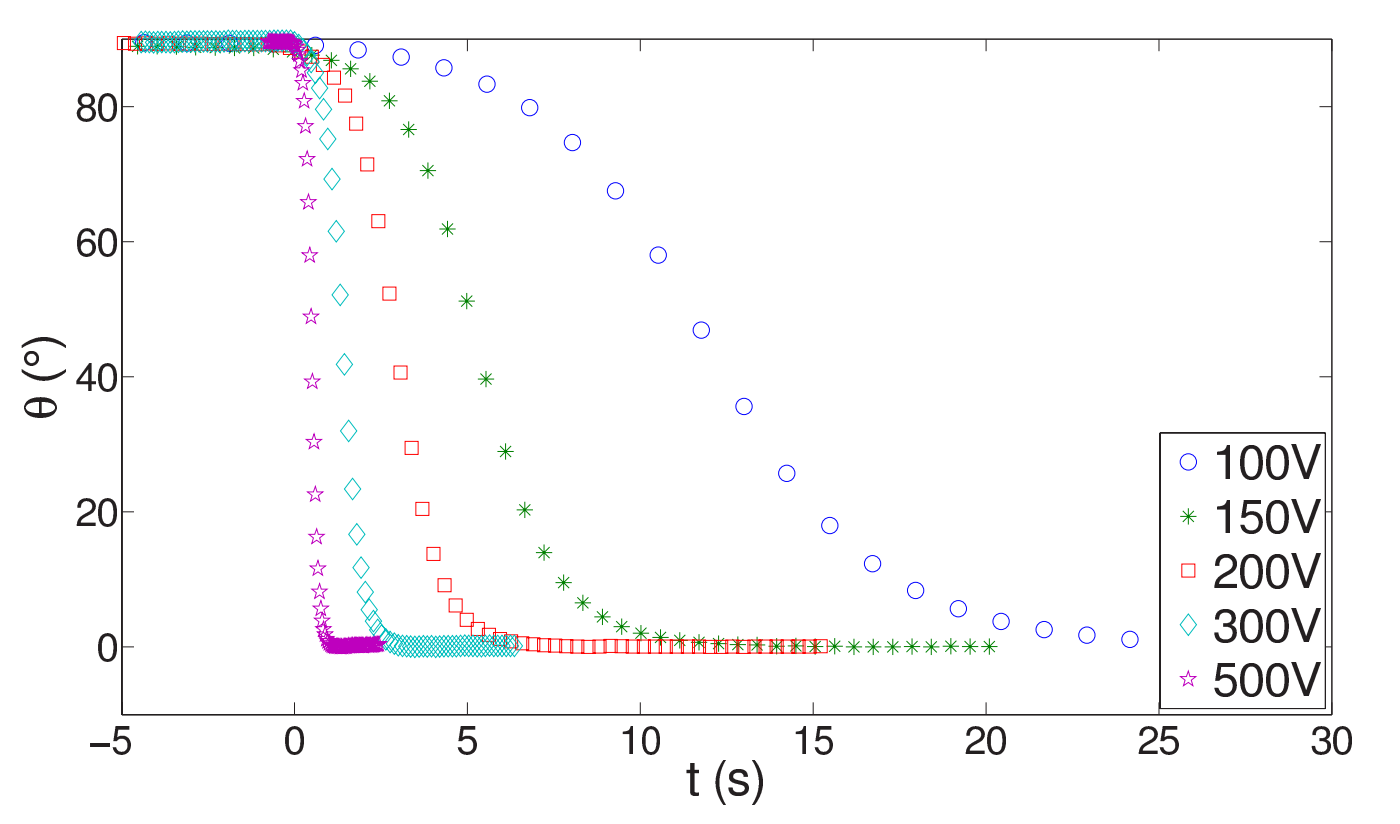Impact of Electric Fields on the Alignment of Clay Particles