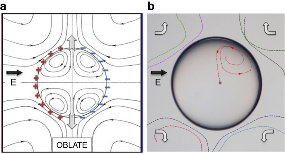 Active Structuring Of Colloidal Armour On Liquid Drops