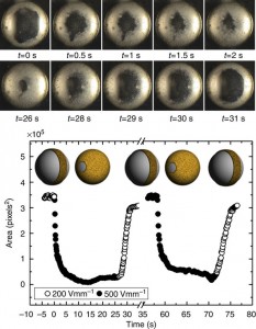 Actively contracting and expanding pupil armour.