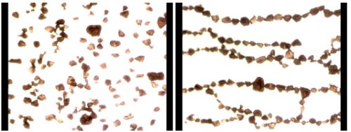 Dipolar Ordering Of Clay Particles In Various Carrior Fluids